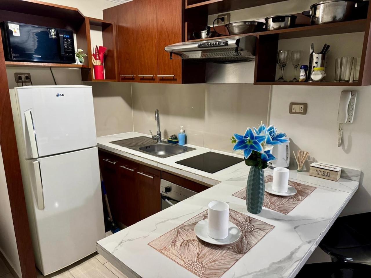 Apartamentos Orquidea Suite 산티아고 외부 사진